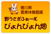 香川県農業体験農園 野うさぎふぁーむ ぴょんぴょん畑