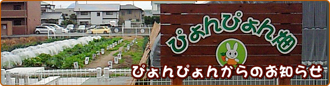 ぴょんぴょん畑からのお知らせ