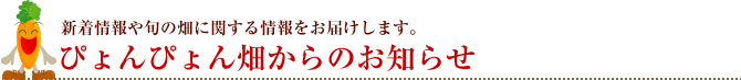 ぴょんぴょん畑からのお知らせ