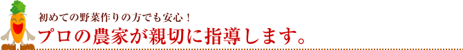 プロの農家が親切に指導します。