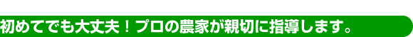 初めてでも大丈夫！プロの農家が親切に指導します。